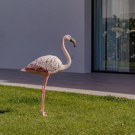 Don Carlos - Adults Only ! Apartamento Playa de las Américas